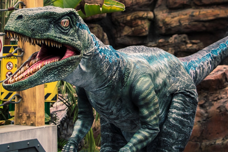 Raptor Encounter Universal Studios Hollywood - roblox dinosaur world group