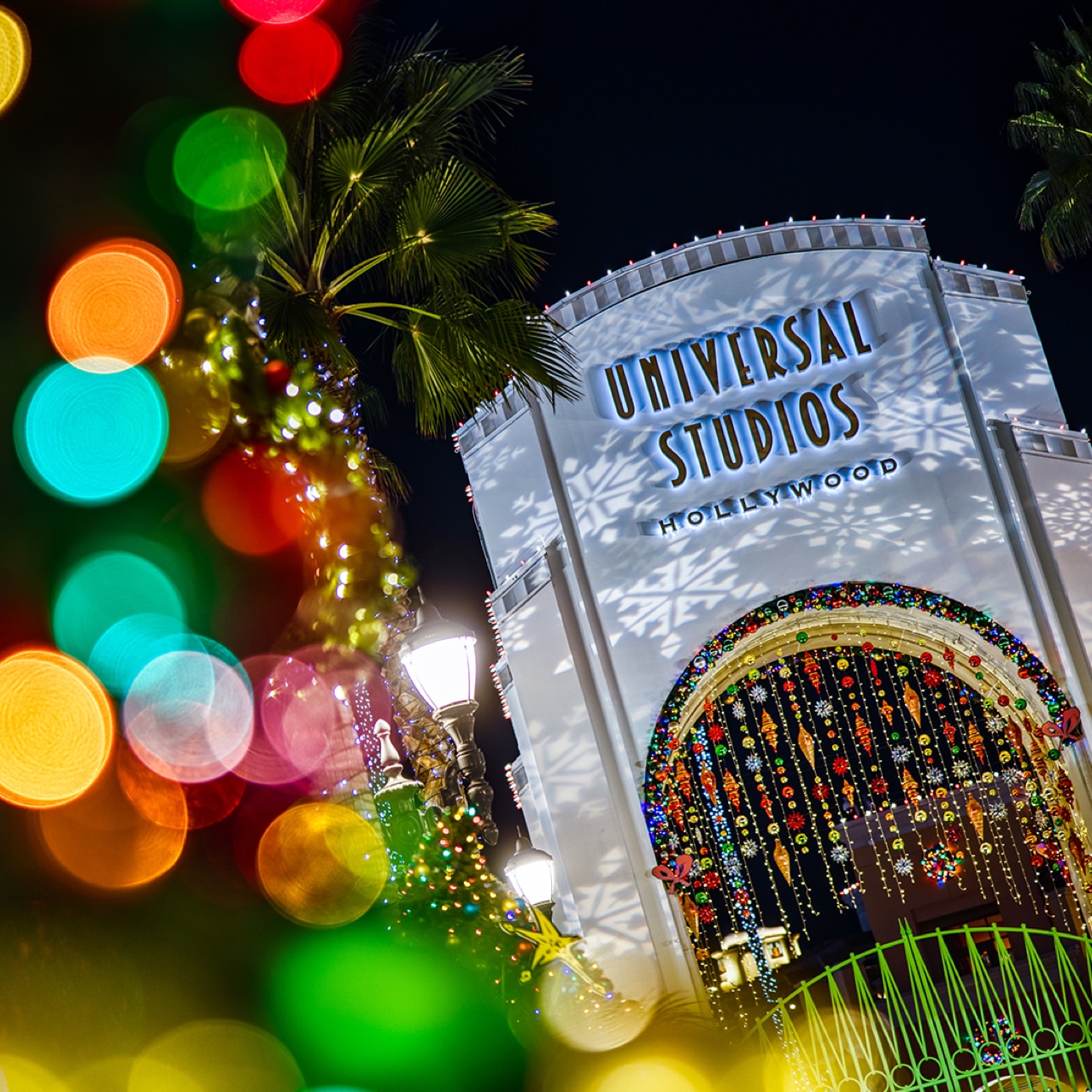 universal-studios-hollywood-wizarding-world-of-harry-potter-tree-with-ribbon  - MiceChat